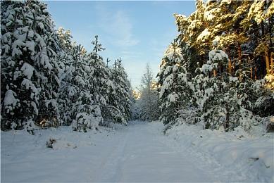 《Dark and Darker》将有内购 官方：还不知道卖什么