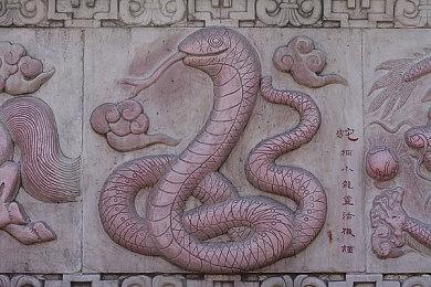 《博德之门3》无需重开档可重设角色 可自定义生殖器