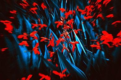 米哈游新作《绝区零》首部宣传片公布 封闭测试招募中